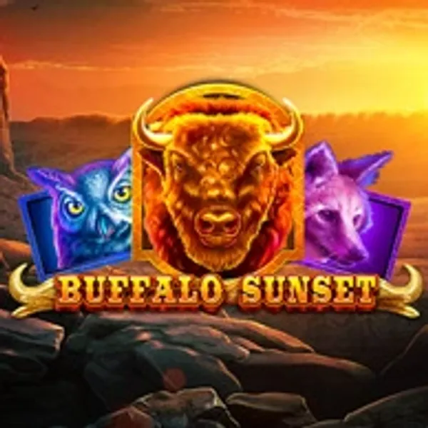 Buffalo Sunset